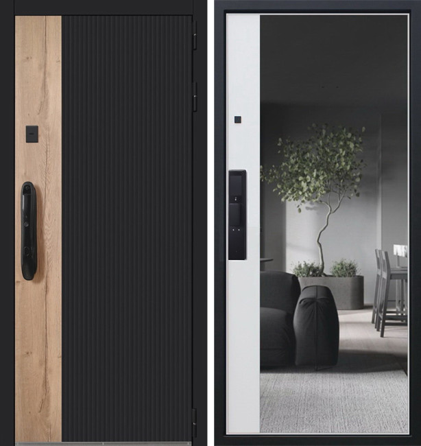 Входная дверь Конструктор с зеркалом с биометрическим замком DZ 888 Входная дверь Конструктор с зеркалом с биометрическим замком DZ 888