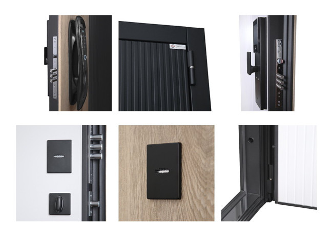 Входная дверь Конструктор с зеркалом с биометрическим замком DZ 888 Входная дверь Конструктор с зеркалом с биометрическим замком DZ 888