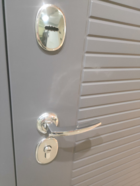 Входная дверь Инвестор