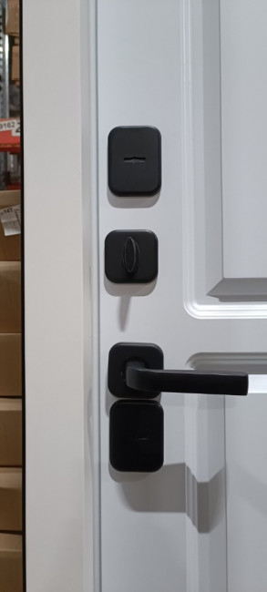 Входная дверь Термо Амира 3К Эмаль RAL 7024