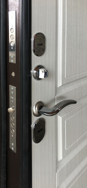 Входная дверь Термо Аляска 1