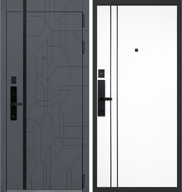 Входная дверь Forest с биометрическим замком  R06