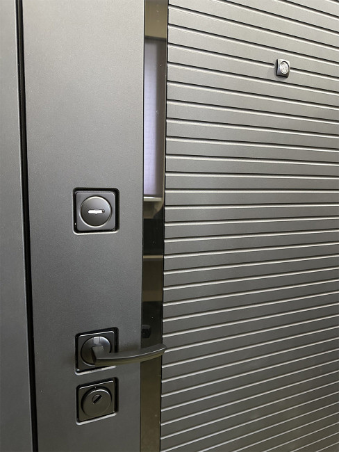 Входная дверь Дрезден