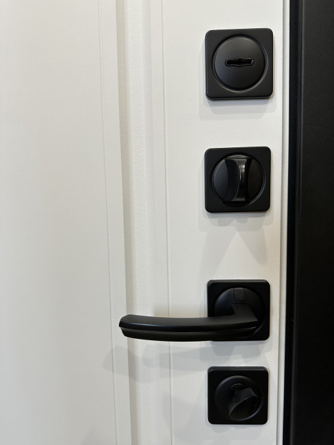 Входная дверь Дрезден