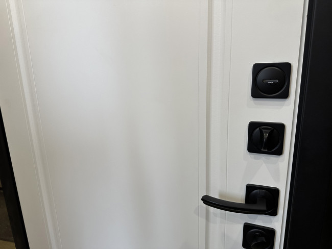 Входная дверь Дрезден