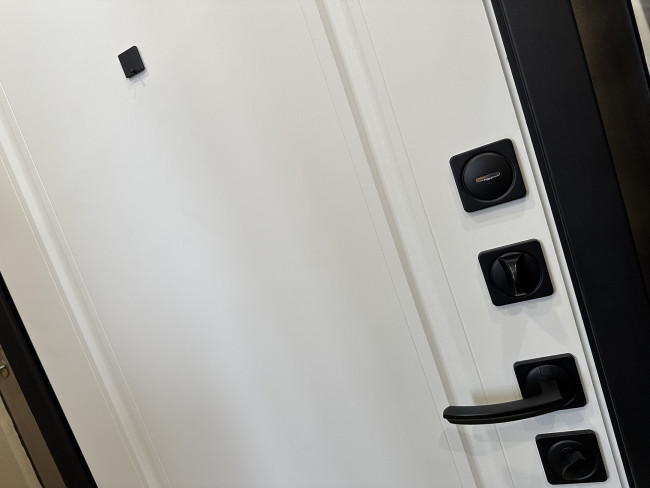 Входная дверь Дрезден