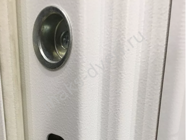 Входная дверь Сноу