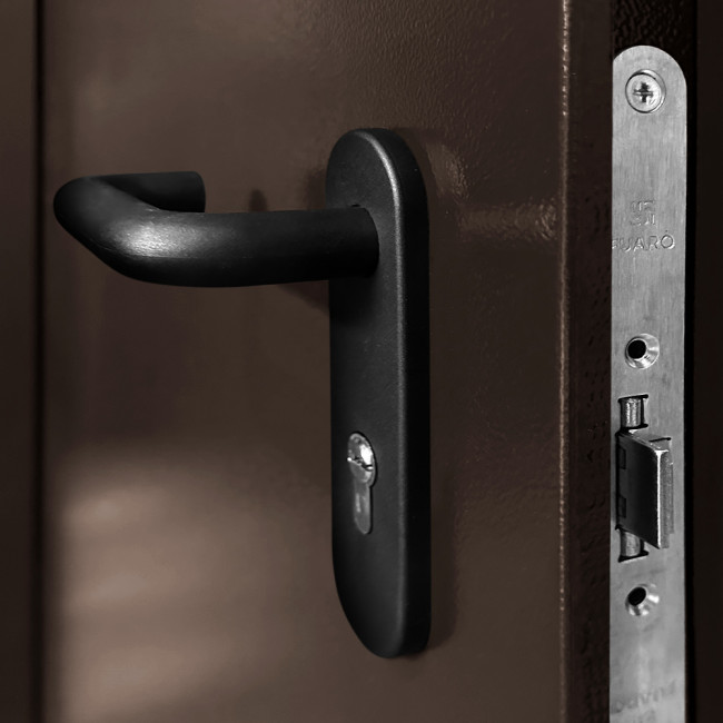 Дверь Противопожарная ДПМ 01 RAL8017