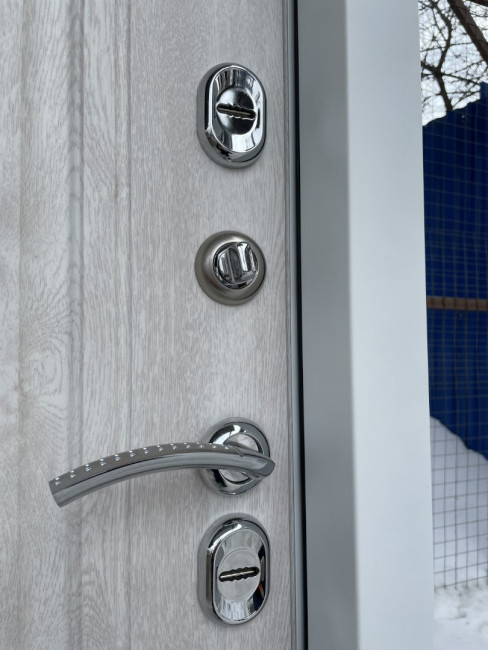 Входная дверь Термо Премиум Эмаль RAL 8019