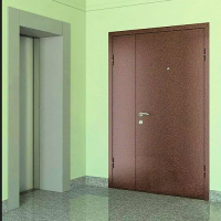 Тамбурные двери